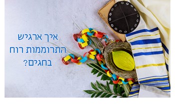 אפרת 2.jpg